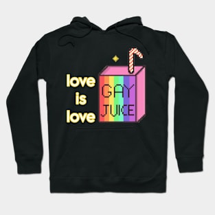 pride month love Hoodie